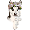 Husky mit Blumenkranz Lebensliebe