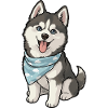 Husky Joy Sky Bandana