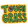 Retro "Touch Grass" Daisy Flower