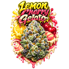 Lemon Cherry Gelato Graffiti Print 