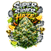 Super Silver Haze Graffiti Print