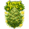 Lemon Tree Graffiti Art Print