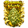Gravure graffiti Banana Kush