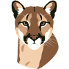 Berglöwe