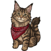 Chat Maine coon