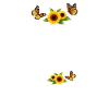Christian Sunflower Positivity God Religion