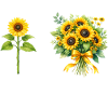 Christian Sunflower Positivity God Religion
