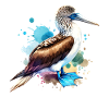 Blue-footed boobies motif