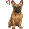 French Bulldog, Frenchie