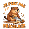 Je peux pas j'ai bricolage