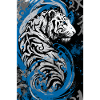 Blue Ebony Tiger with Spirals