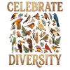 Celebrate Bird Diversity Birds Nature