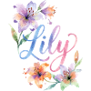 Lily Watercolor Flowers