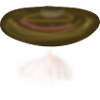 Nature des champignons champignons