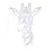 Funny Giraffe with Tongue