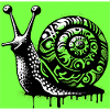 Snail