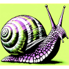 Escargot