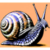Snail