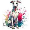Greyhound Gift