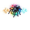 Pinktoe Rosafus Tarantula Heartline