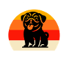 Équipe Pug