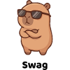 Swag
