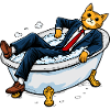 Firmenkatze in einer seifigen Badewanne