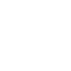 Classically Trained with Dimmer Manual Car 