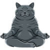 Meditating Gray Cat