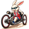 Handbike Bunny Sport Inclusion Fun Design
