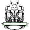 Strong Bunny Wheelchair Fitness Fun Design