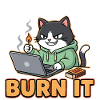 Burn It – Lustiger Spruch für Programmierer
