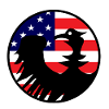 Eagle Flag USA Silhouette
