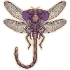 Cool Dragonfly