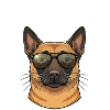 Malinois Non