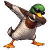 Dabbing Stockente
