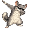 Dabbing Chinchilla
