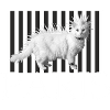 Paris Mohawk Punk Cat en rayures