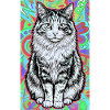 chat
