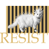 Cats punk resist naughtylonghair cat rebellious