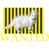 Wanted Punk Cat on Yellow Stripes