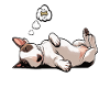 Feeling Dog Tired Miniatur Bullterrier Bully 