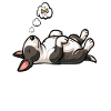 Feeling Dog Tired Miniatur Bullterrier Bully 