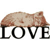 Sleeping Cat LOVE – Cozy Katzenliebe