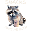 Raccoon Snack Time