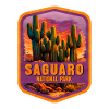 Saguaro National Park Desert Patch
