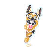Où vas-tu ? Le chien surveille