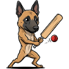Belgian Malinois dog in cricket