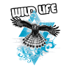 Aigle Libre et Graphique