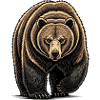 Bear Watcher Linienillustration